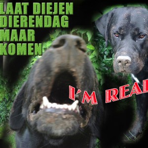 BIJ DE BEESTEN AF