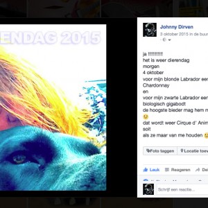 MIJN DIEREN