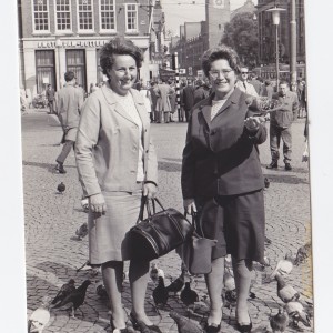 ALLE DUIVEN OP DE DAM