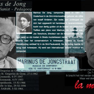 MARINUS DE JONG