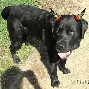MY LITTLE BLACK DEVIL