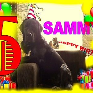 SAMUEL