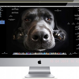 THE SCREEN KEEPER