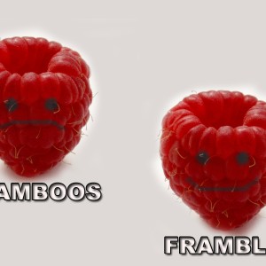 FRAM BOOS