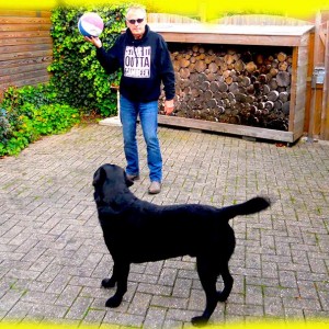 CODE GEEL