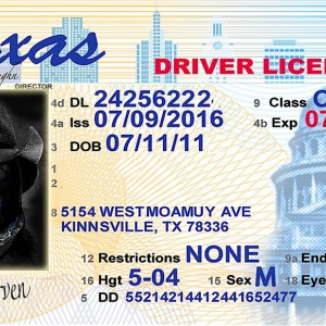 DRIVER LICENSE
